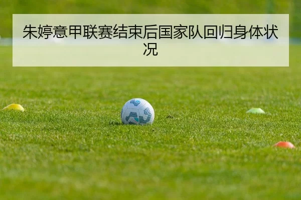 zhu-ting-yi-jia-lian-sai-jie-shu-hou-guo-jia-dui-hui-gui-shen-ti-zhuang-kuang-2-736.jpg